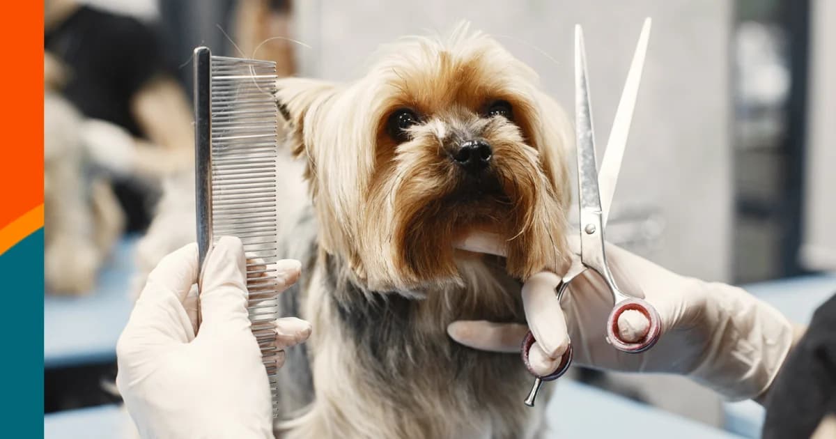 PETicures Grooming