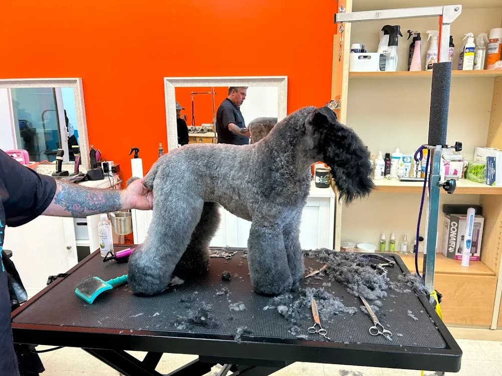 PETicures Grooming